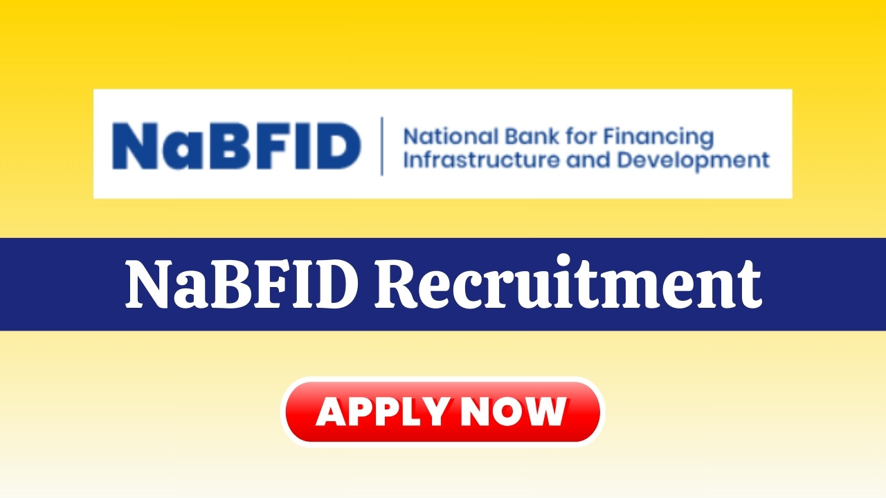 NaBFID Recruitment