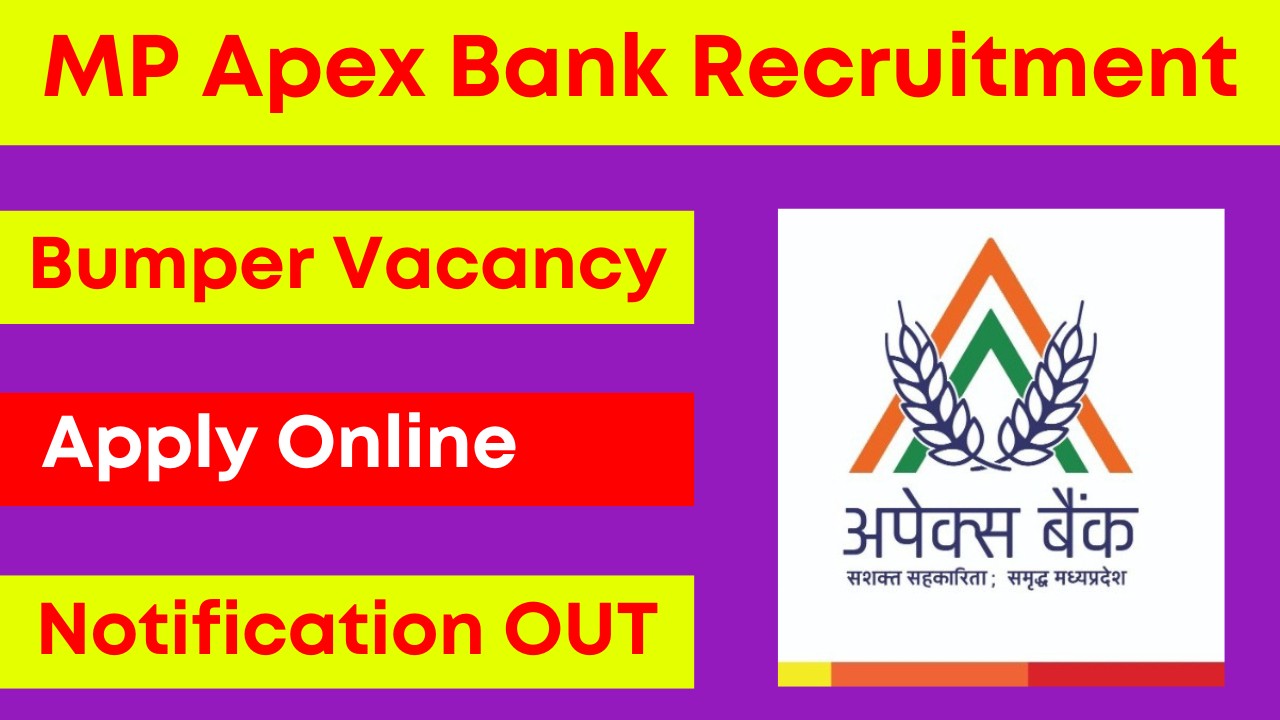 MP Apex Bank Recruitment